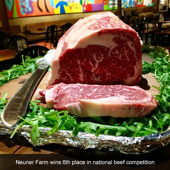 Maries River Wagyu award winning