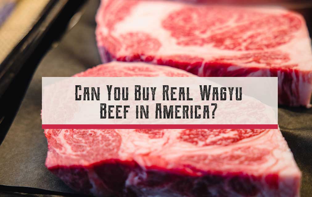 Can You Buy Real Wagyu Beef in America?