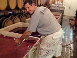 Westphalia Vineyards wine making